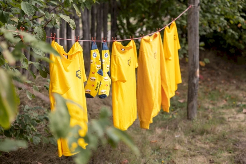 Easy Camp Palmdale 600 Tunneltent - 6 Persoons 13 Easy Camp Palmdale 600 Tunneltent - 6 Persoons - Afbeelding 11