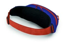 Osprey Daylite Heuptas - Blauw/Oranje 11 Osprey Daylite Heuptas - Blauw/Oranje -Buiten kamperen 1900 1425 daylitewaist s23 sideback silverliningblueberry 10005144