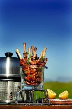 Cobb Pro Premier Air Houtskoolbarbecue - Grijs -Buiten kamperen cobb premier 3