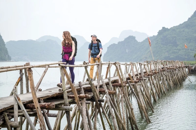 Osprey Farpoint Backpack - 40 Liter - Donkergroen 8 Osprey Farpoint Backpack - 40 Liter - Donkergroen - Afbeelding 6